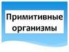 Примитивные организмы