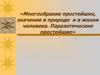 Многообразие простейших, значение в природе и в жизни человека. Паразитические простейшие