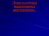 Право в системе нормативного регулирования