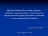 Организация наблюдения в группе диспансерного наблюдения и осуществление принудительного лечения за психическими больными