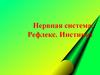 Нервная система. Рефлекс. Инстинкт
