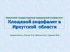 Клещевой энцефалит в Иркутской области
