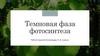 Темновая фаза фотосинтеза