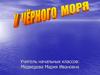 У Черного моря