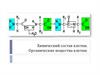 Химический состав клетки. Органические вещества клетки