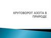 Круговорот азота в природе