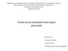Этимология названий некоторых растений