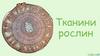 Тканини рослин