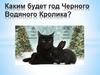 Каким будет год Черного Водяного Кролика?