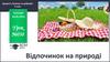 Відпочинок на природі. Урок №030. Здоров'я, безпека та добробут. 5 клас