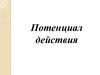 Потенциал действия