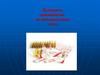 Препараты применяемые на догоспитальном этапе