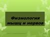 Физиология мышц и нервов