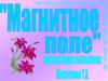 Магнитное поле