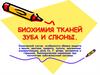 Биохимия тканей зуба и слюны
