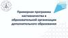 Примерная программа наставничества в образовательной организации дополнительного образования
