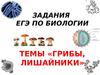 Грибы, лишайники