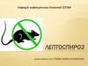 Лептоспироз