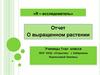 Отчет о выращенном растении