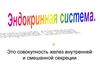 Эндокринная система
