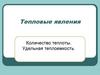 Количество теплоты. Удельная теплоемкость. Урок 12