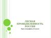 Лесная промышленность России. Урок географии в 9 классе