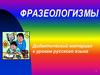 Фразеология. Дидактический материал к урокам русского языка