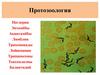 Протозоология