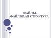Файлы. Файловая структура