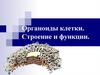 Органоиды клетки. Строение и функции