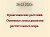 Происхождение растений. Основные этапы развития растительного мира