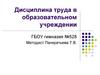 Дисциплина труда в образовательном учреждении