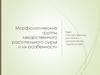 Морфологические группы лекарственного растительного сырья и их особенности