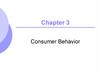 Consumer Behavior