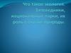 Что такое экология. Заповедники, национальные парки, их роль в охране природы