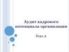 Аудит кадрового потенциала организации. Тема 4