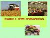 Пищевая и лёгкая промышленность