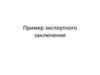 Пример экспертного заключения