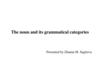 The noun and its grammatical categories