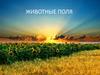 Животные поля