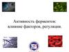 Активность ферментов: влияние факторов, регуляция