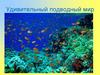 Удивительный подводный мир