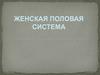 Женская половая система
