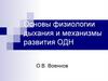 Основы физиологии дыхания и механизмы развития ОДН. Часть 1. Физиологические основы внешнего дыхания и легочного газообмена
