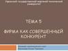 Фирма как совершенный конкурент. Тема 5
