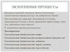 Экзогенные процессы  (лекция 5)
