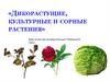 Дикорастущие, культурные и сорные растения