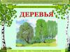 Игры и упражнения по развитию грамматического строя речи "Деревья"