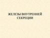 Железы внутренней секреции