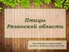 Птицы Рязанской области. Знакомство с уникальными видами птиц